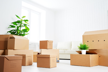 Moving Kittery Moving Kittery